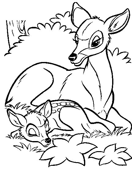 kidsnfunde  malvorlage bambi bambi