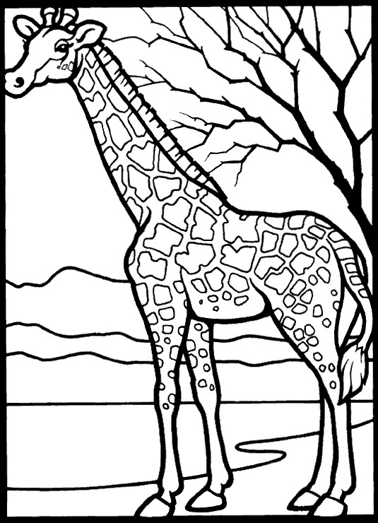 kidsnfunde  malvorlage giraffe giraffe