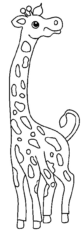 kidsnfunde  45 ausmalbilder von giraffe