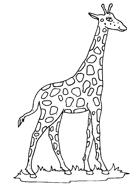 kidsnfunde  45 ausmalbilder von giraffe