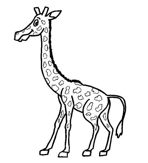 kidsnfunde  malvorlage giraffe giraffe