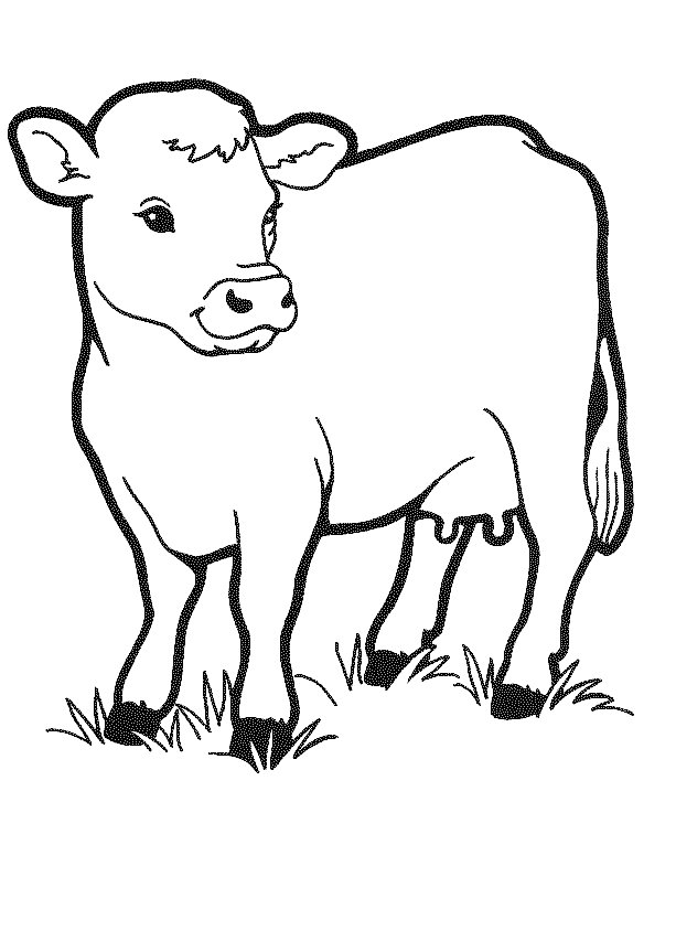 kidsnfunde  malvorlage kühe kühe