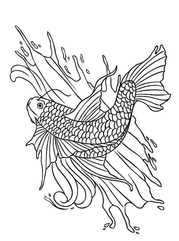 Kidsnfun.de Malvorlage Koi Koi