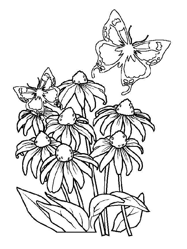 Kids-n-fun.de | 33 Ausmalbilder von Fruhling