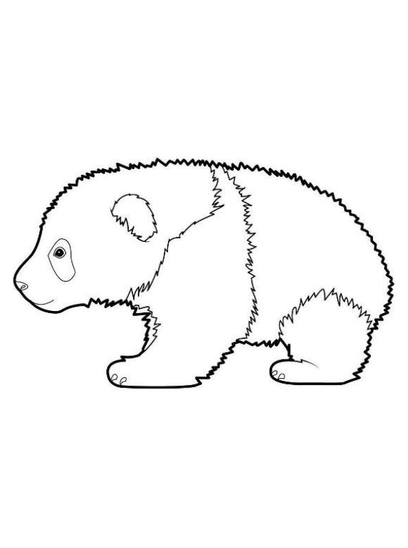 Kidsnfun.de Malvorlage Panda Panda