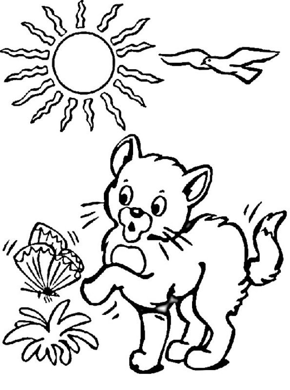 Kidsnfun.de 68 Ausmalbilder von Katze