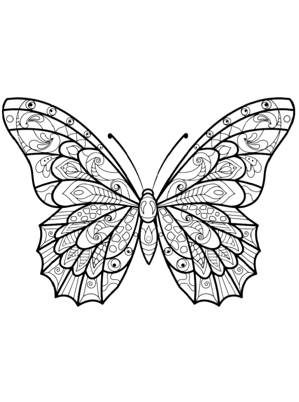 sommerfugl mariposas papillon schmetterlinge vlinders moeilijk tegninger dibujo supercoloring geeksvgs malvorlage schmetterling kleurplaten kolorowanka malvorlagen barbie drukuj
