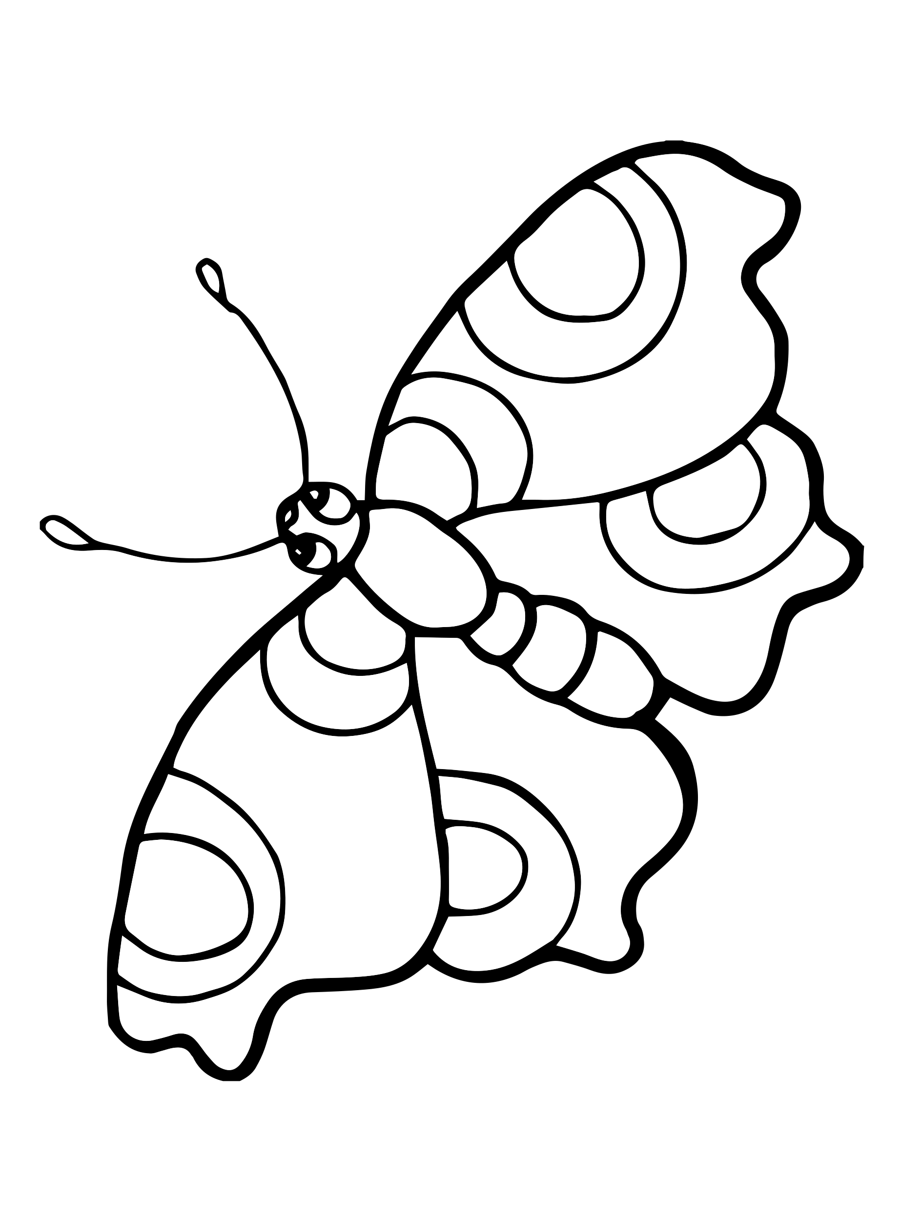 Wunderbare Tipps Dazu Malvorlage Zum Ausdrucken Schmetterling Findus Wunderbare Tipps Dazu Malvorlage Zum Ausdrucken Schmetterling Findus