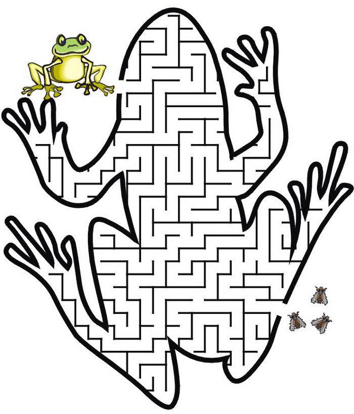 kids-n-fun-de-puzzles-labyrinth-labyrinth-frosch