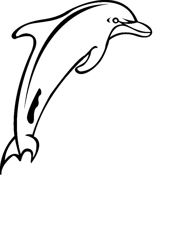 kidsnfunde  malvorlage delfine delfine