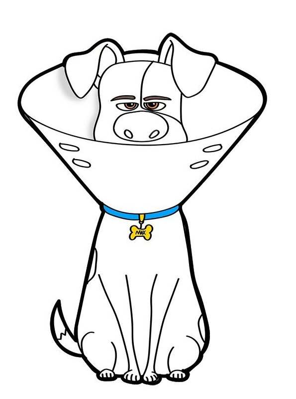 Kidsnfun.de Malvorlage Pets 2 Max