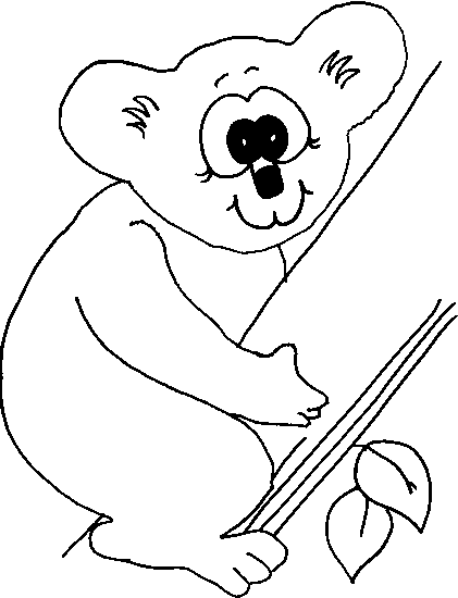 kidsnfunde  malvorlage koala bären koala bären