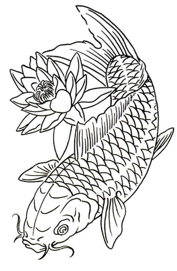 Kidsnfun.de Malvorlage Koi Koi