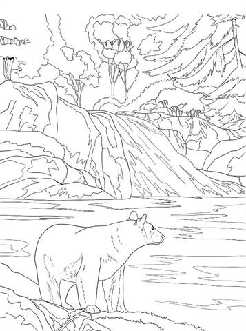 Yellowstone Coloring Page / Yellowstone Park Bison Coloring Page Free