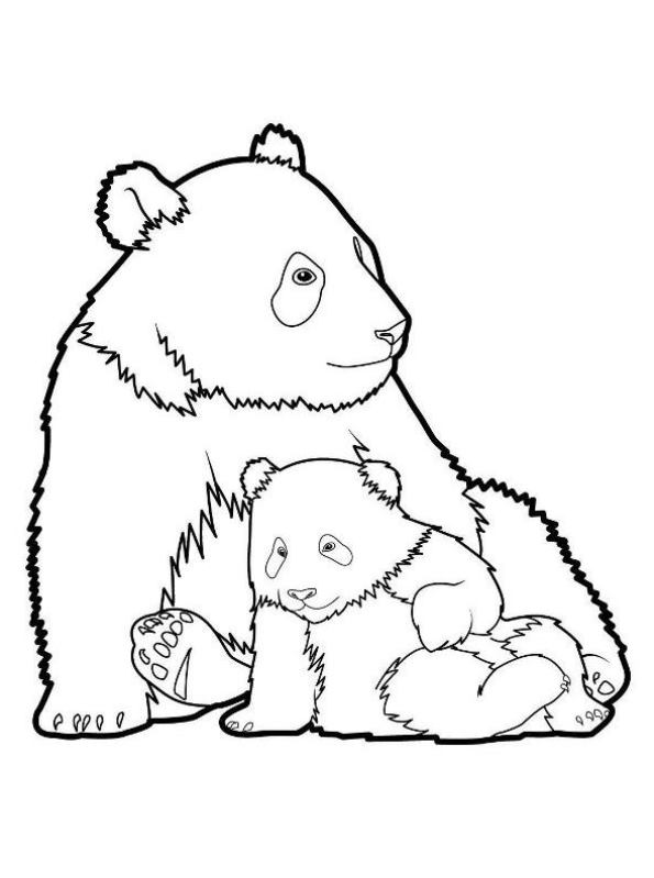 Kids-n-fun.de | Malvorlage Panda Panda