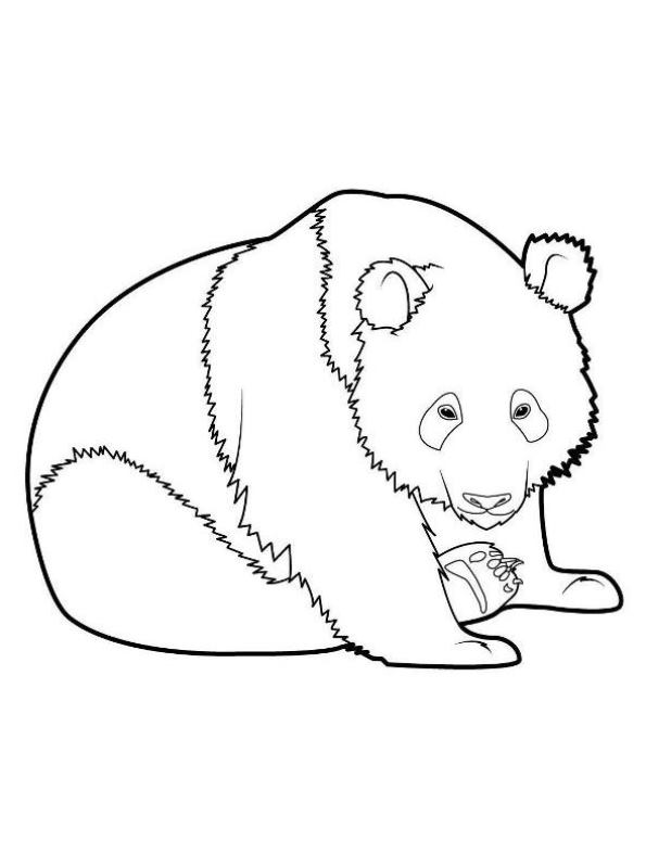 Kids-n-fun.de | Malvorlage Panda Panda
