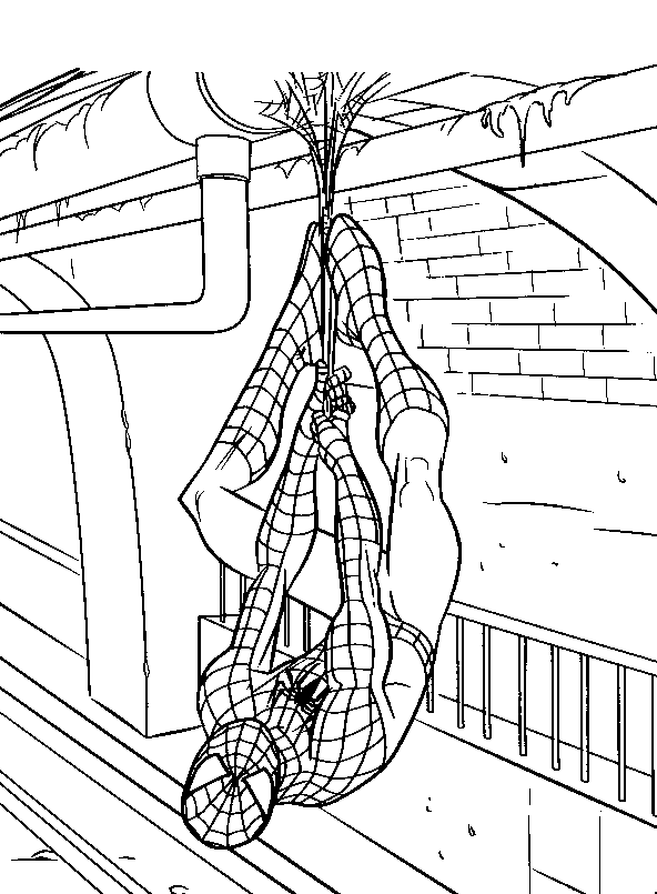 kidsnfunde  malvorlage spiderman 3 spiderman 3