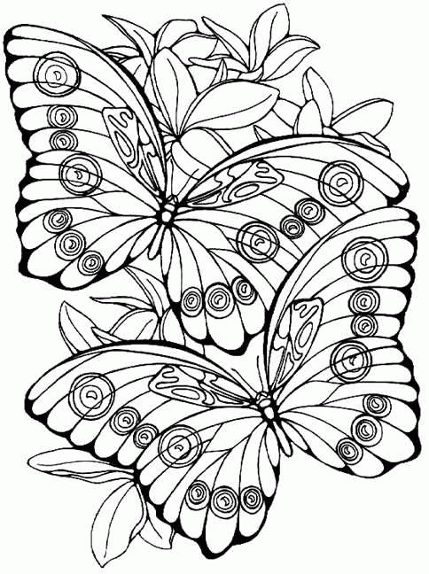 Schmetterling mandala zum ausmalen Schmetterling Mandala